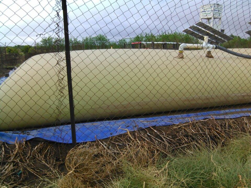 Seller Of Flexible PVC Tarpaulin Made Pillow Water Bladder For Watering Cattle