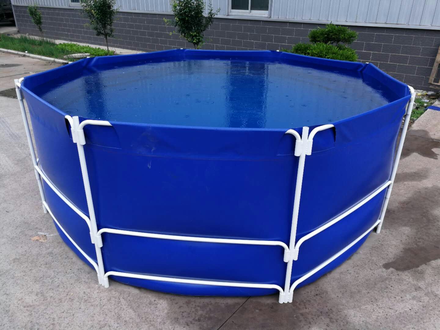 Wholesale Large Round Outdoor Fish Tank For Breeding Cheap Fish Tank Supplier